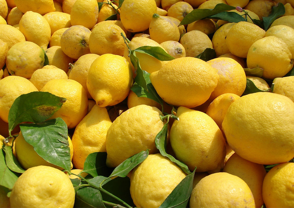 תמונה ממוזערת: עץ לימון