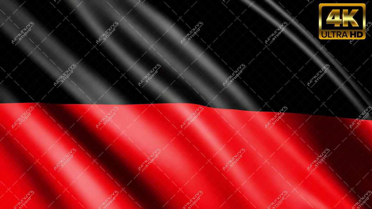 DMK Flag Wave Stock Video (Dravida Munnetra Kazhagam) - DMK Flag Video, Stalin DMK Flag, RE-Revive Studio