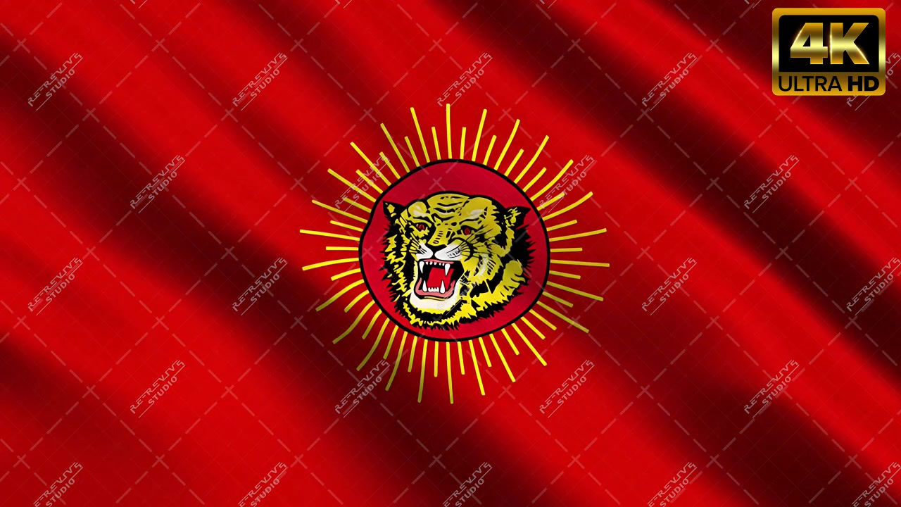 NTK Flag Wave Stock Video (Naam Tamilar Katchi ) - NTK Flag Wrinkled, NTK Flag Video, Seeman Flag, RE-Revive Studio