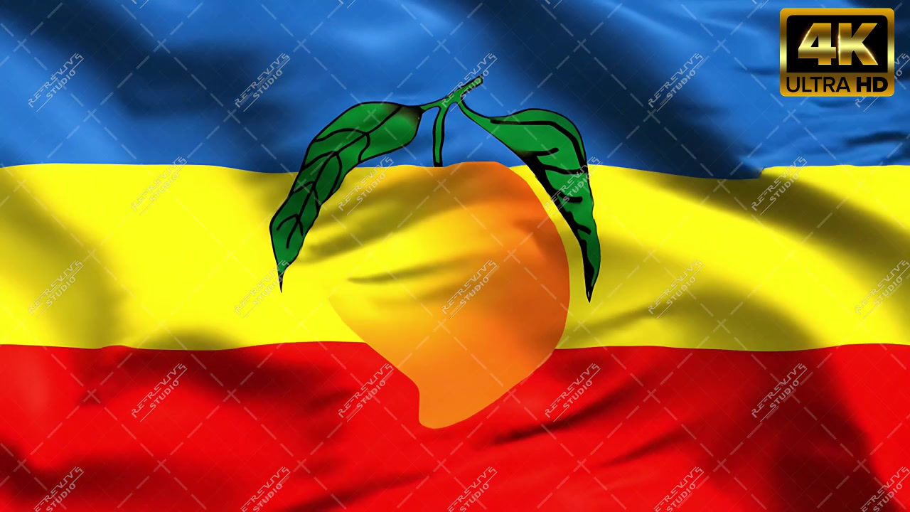 PMK Flag Video(Pattali Makkal Katchi) - PMK Flag Video, PMK Flag, RE-Revive Studio