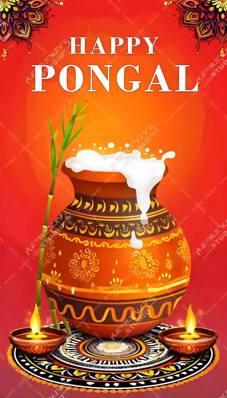 Pongal Celebration Poster - Happy Pongal, Poster Design, Mattu Pongal, Farmers, Tamil Festival, RE-Revive Studio.