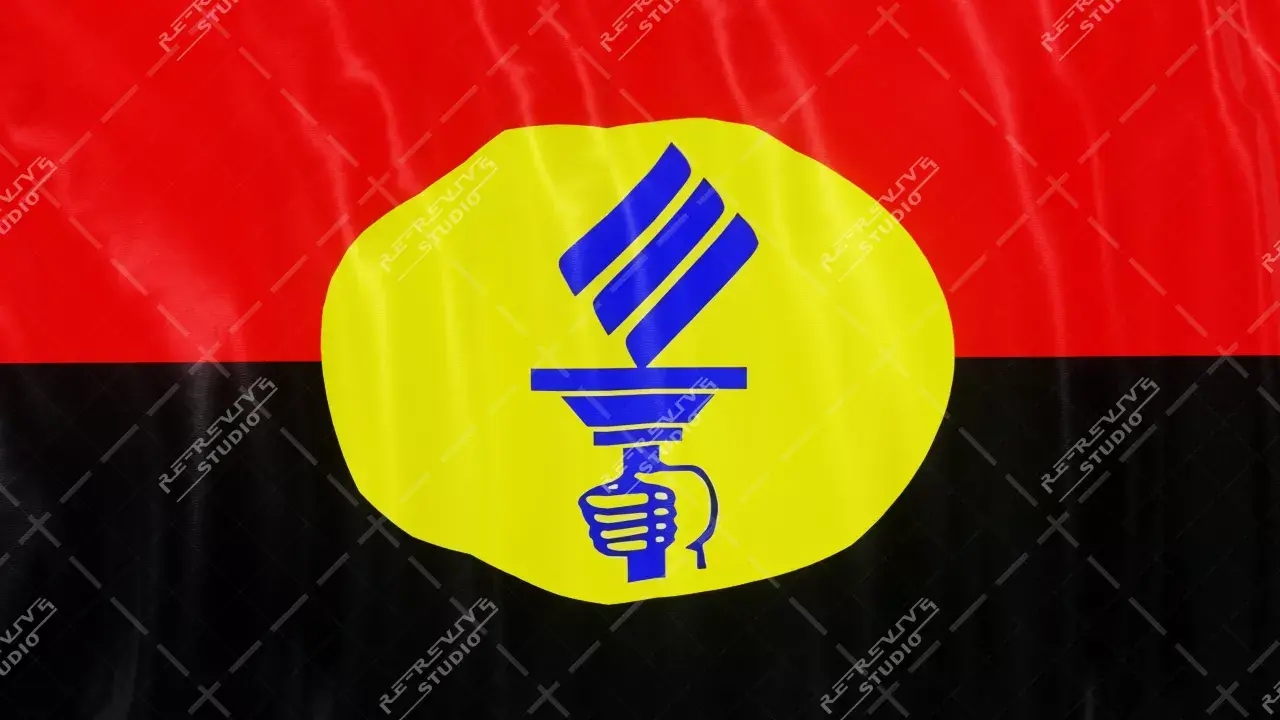 DMDK Flag (Desiya Murpokku Dravida Kazhagam) - DMDK Flag Waving, DMDK Flag, Vijayakanth Flag, RE-Revive Studio