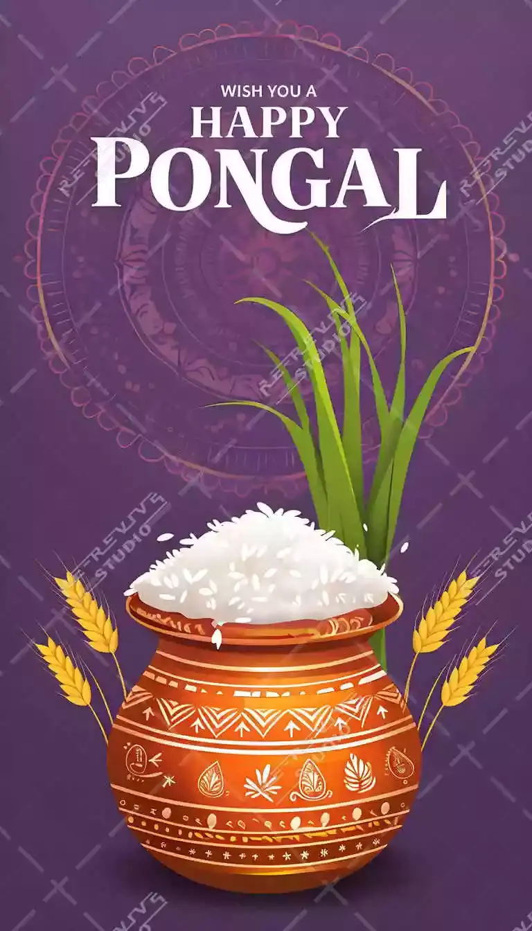 Pongal Festival Celebration Poster - Happy Pongal, Poster Design, Mattu Pongal, Farmers, Tamil Festival, RE-Revive Studio.