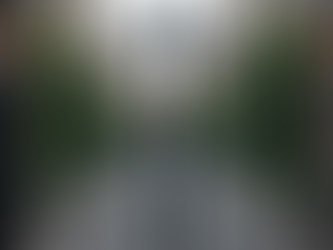 Crafting Unique Metal Gates for Every Space: A Journey into Metal Gate Craftsmanship