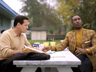 Green Book: O Guia (2018)