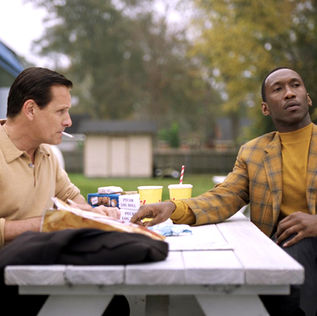 Green Book: O Guia (2018)