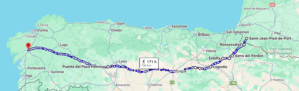 Mapa da peregrinação de Paulo Coelho pela Rota Jacobea ou Caminho Francês (Google Maps).
