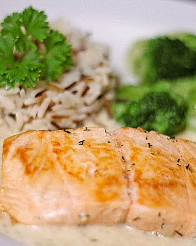 Gebratenes Lachsfilet Lachs in Dill Weißwein Sauce 400gr | Gourmetplaza Gebratenes Lachsfilet Lachs in Dill Weißwein Sauce 400gr | Gourmetplaza