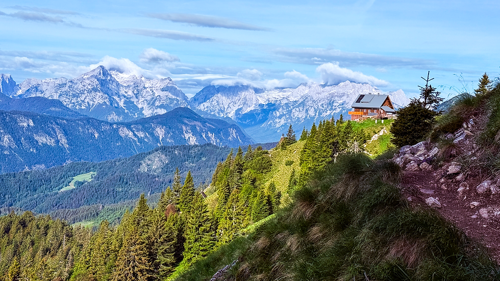 Eye-level view of a winding mountain trail surrounded by fresh spring greenery in Slovenia