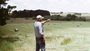 Como Comprar uma Fazenda com Segurança
