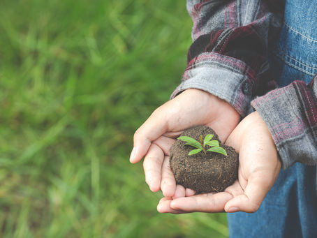 Como obter a licença ambiental para a fazenda?