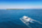 Alona Divers Homepage.jpg