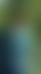 I accomplished somethings 