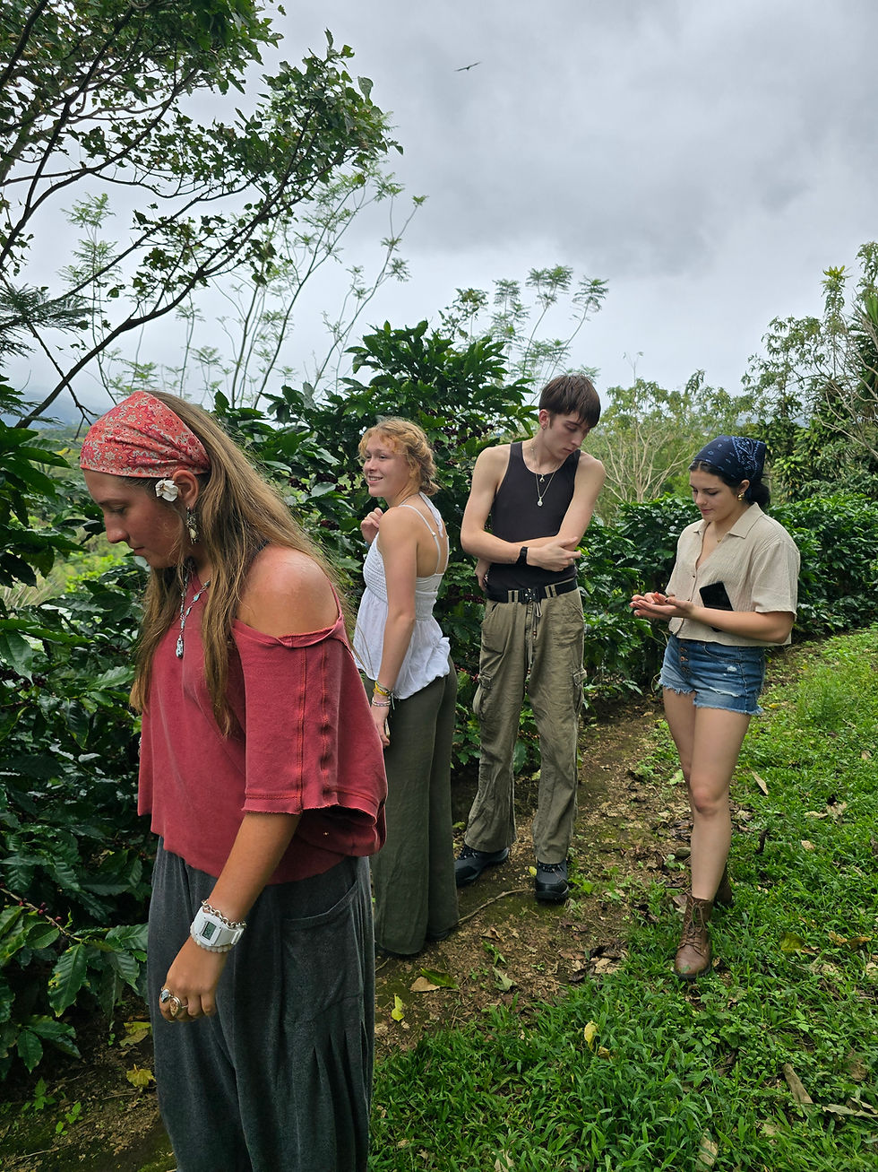 Thumbnail: Costa Rica