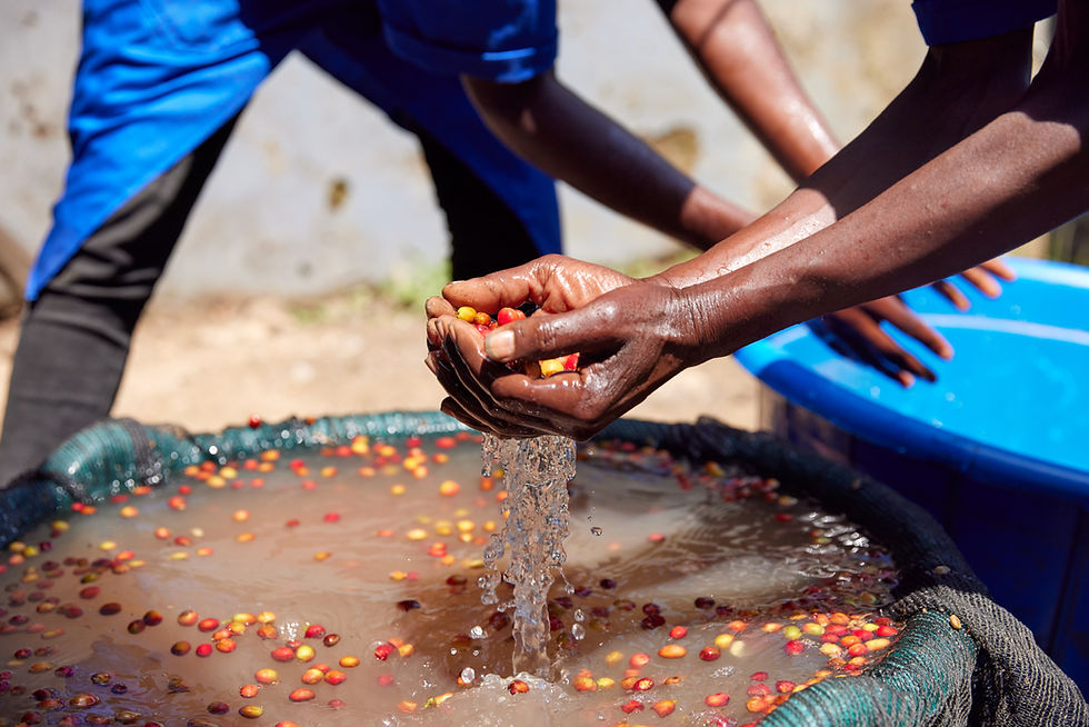 Thumbnail: Rwanda