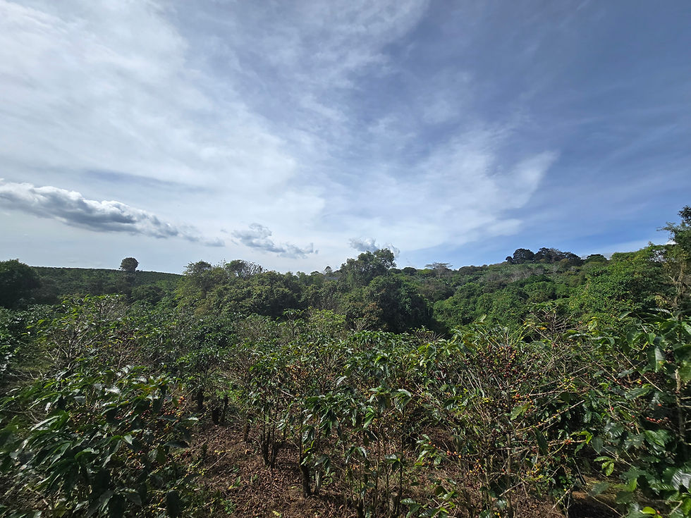 Thumbnail: Costa Rica