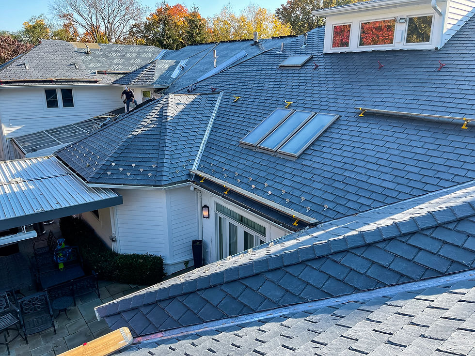 Photo Nov 09 2021, 1 48 35 PM.jpg