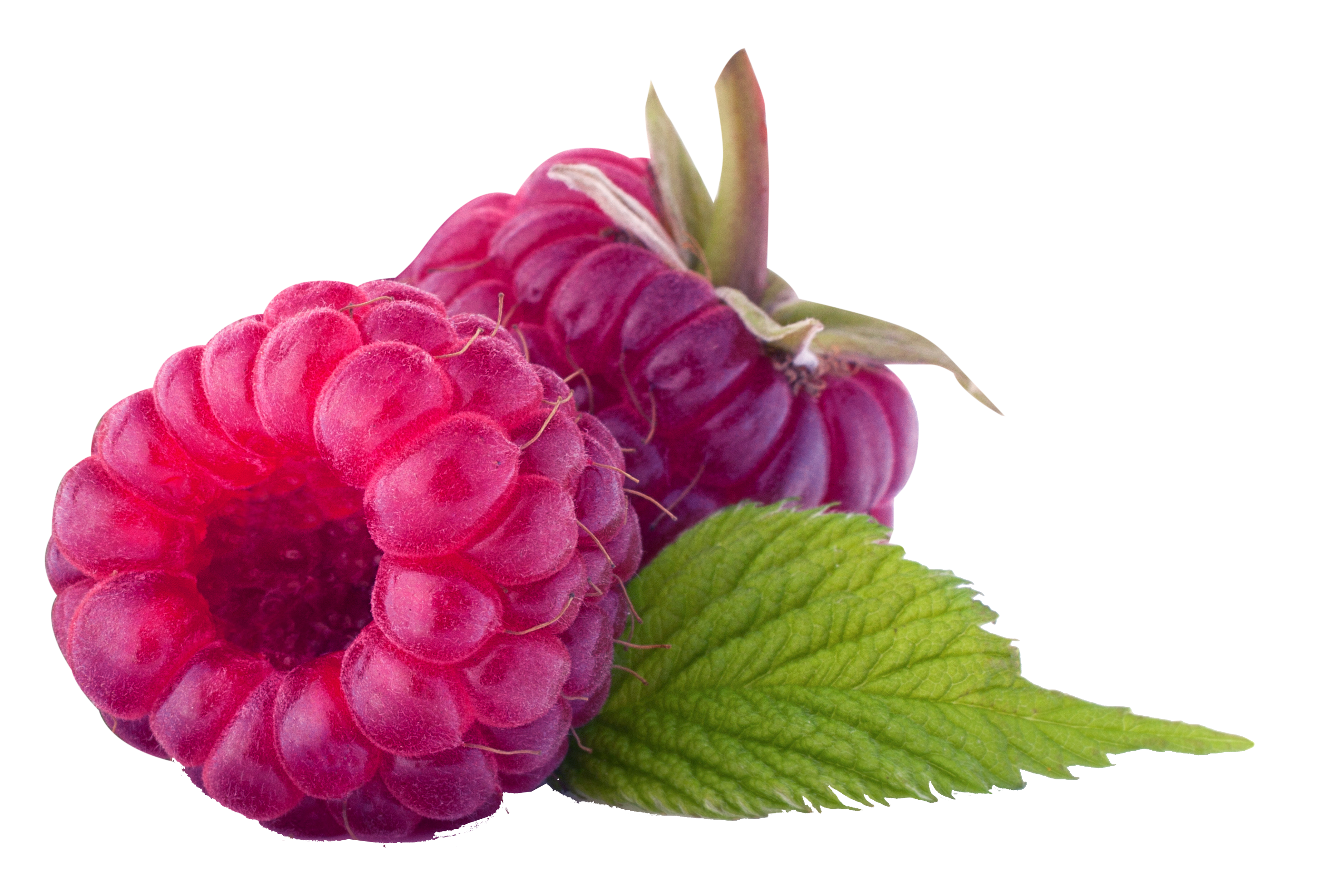 Two Raspberries
