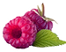 Two Raspberries