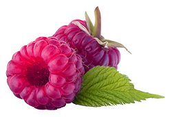 Two Raspberries