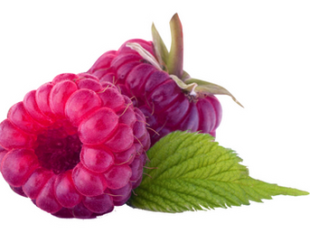 Find out how to successfully prune your fruit trees and bushes