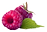 Two Raspberries
