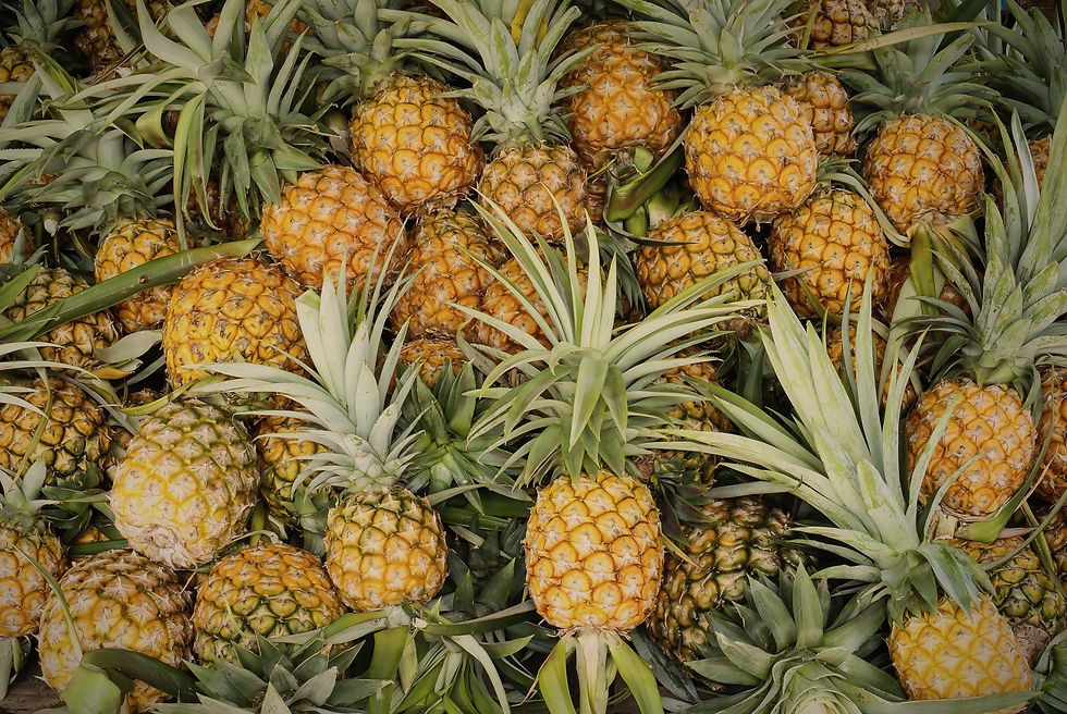 Island Inspired Local Cuisine Pineapples Hilo