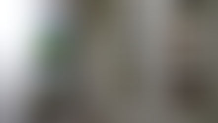 The Witham - Under Northern Skies