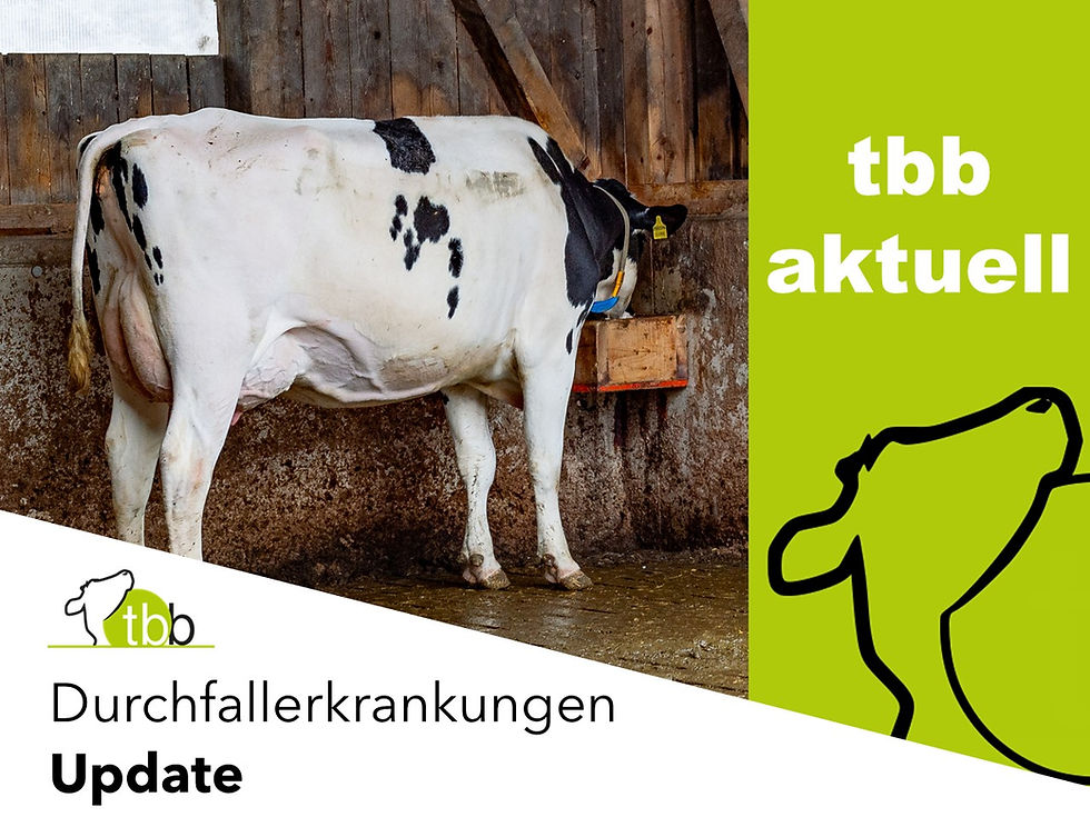 Das Titelbild zeigt das Deckblatt von tbb aktuell