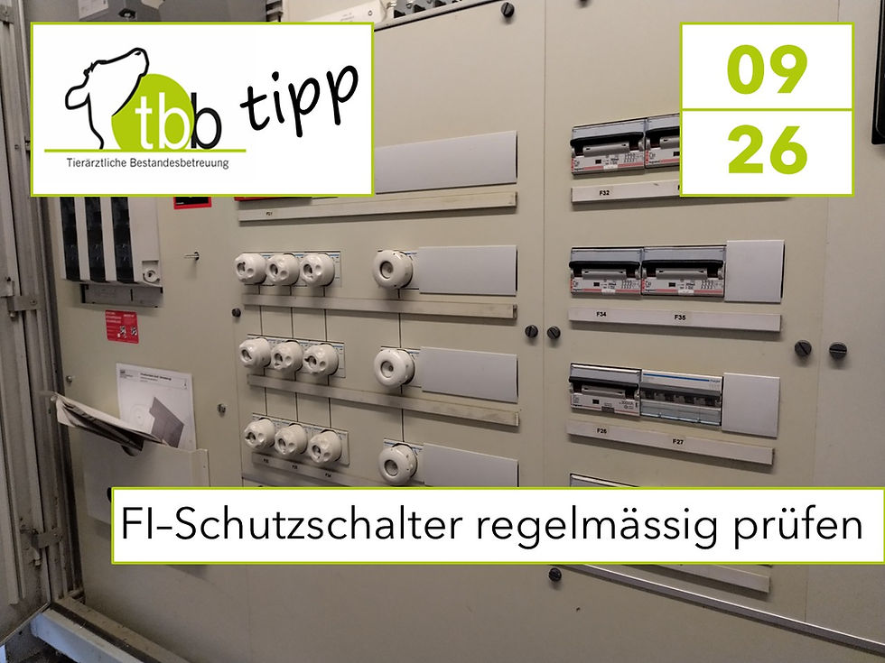 Auf dem Titelbild ist ein Schaltschrank zu sehen