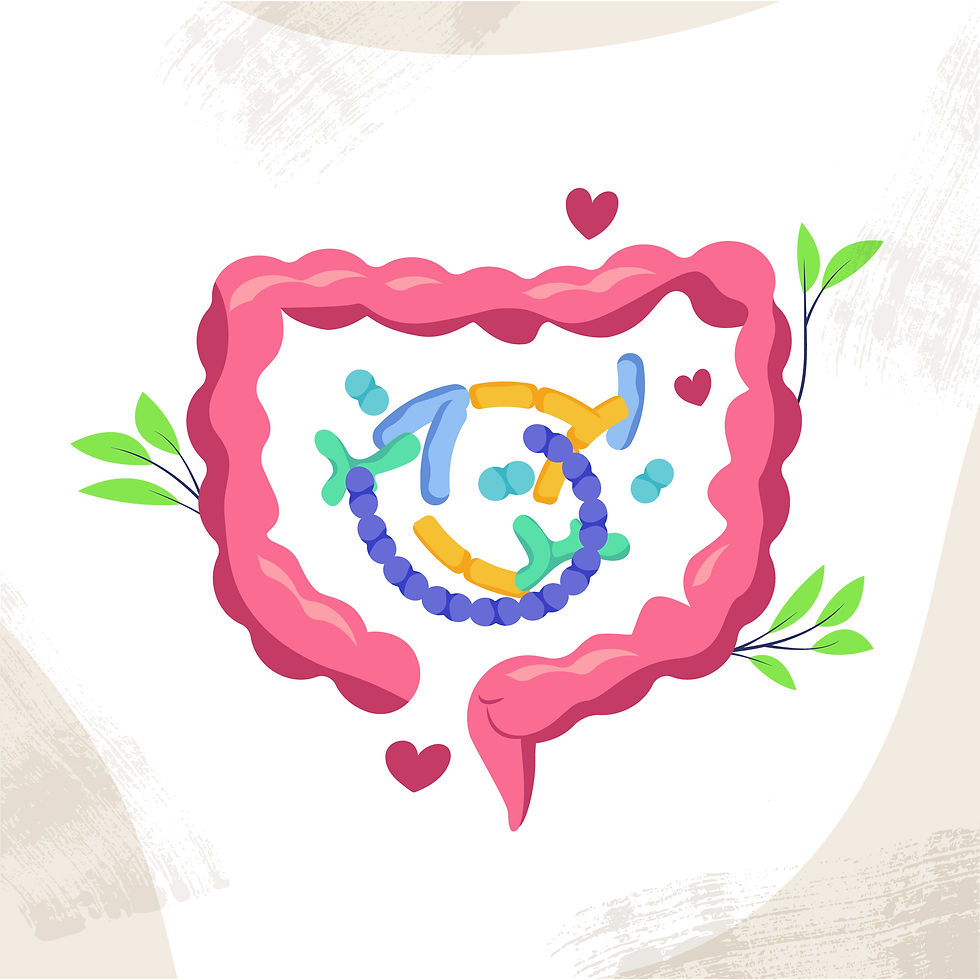 Thumbnail: The Better Living Transformation Programme