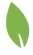 Leaf Icon