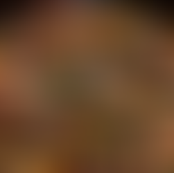 Steak tips with mushrooms