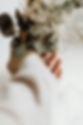 ellie-ellien-fys3PIE0Psc-unsplash (1).jpg