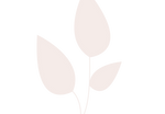 Willow Woolf Logo