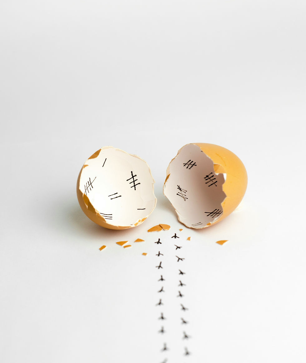 Chicken egg with drawn footprints