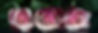 roses-1706448_1920.jpg