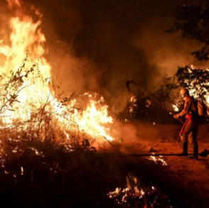 Goiás soma mais de 6,3 mil ocorrências de fogo em 2026 e investiga suspeita de incêndios criminosos