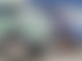 Você conhece a origem da palavra CAMINHÃO?