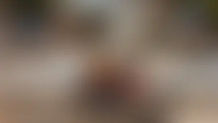 Brasil flexibiliza a CNH enquanto mortes no trânsito disparam