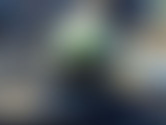 Adequação ambiental no Transporte Rodoviário de Cargas passa a ser prioridade para as empresas