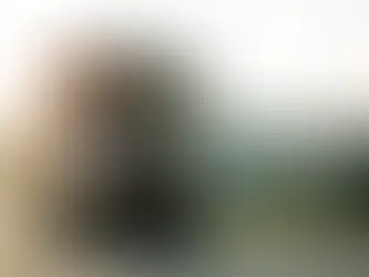 Freightliner vai usar tecnologia israelense para automação de caminhões nos Estados Unidos