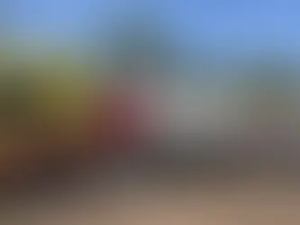 Transpanorama reduz acidentes rodoviários em 93%