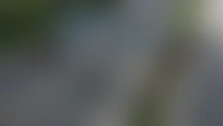 Justiça confirma legalidade do Free Flow na Via Dutra