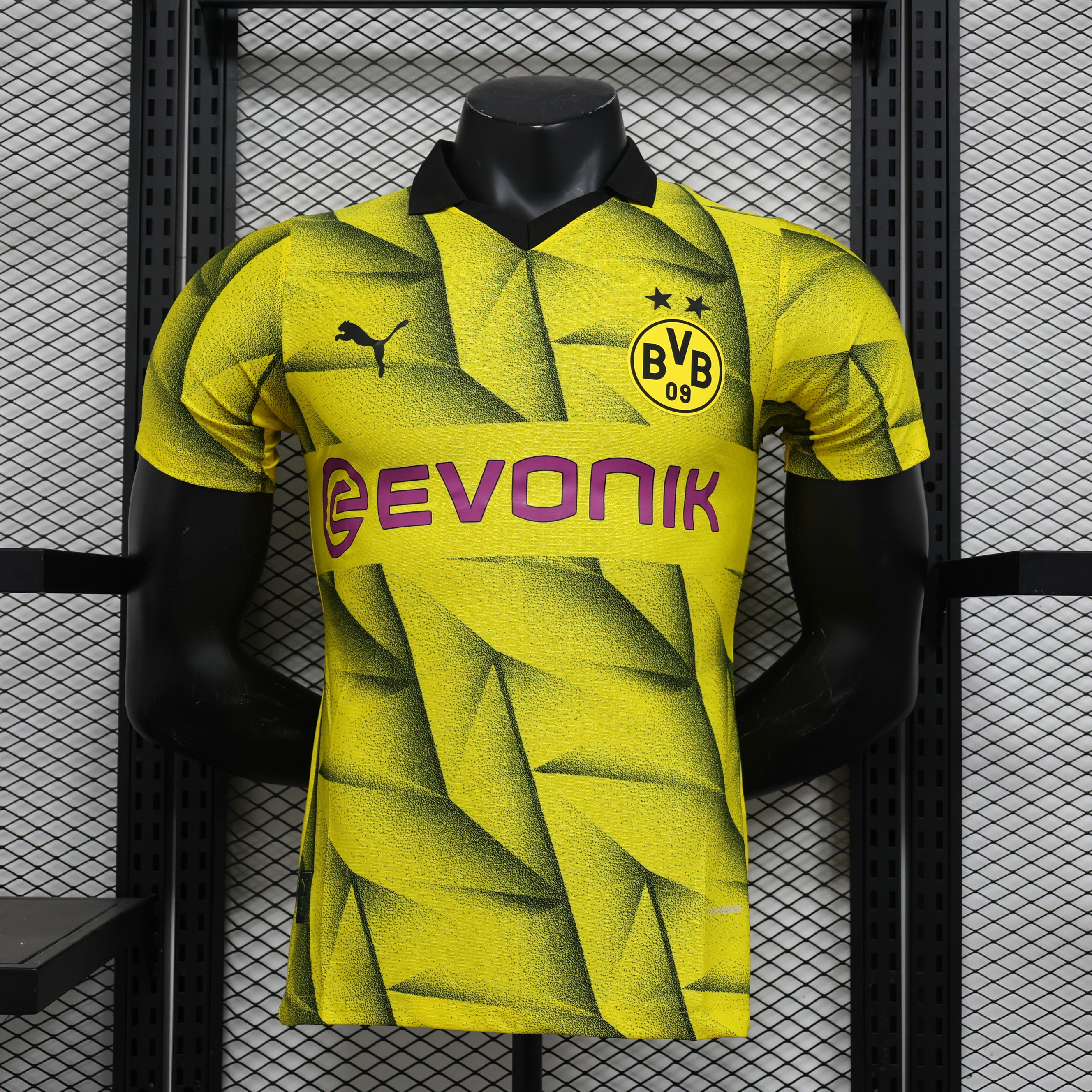 Borussia Dortmund Jogador 23/24