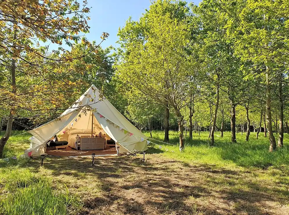 glamping.webp