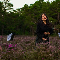 quartet playing on a flower field