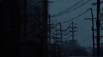 Screenshot 2024-11-24 at 13.03.04.png