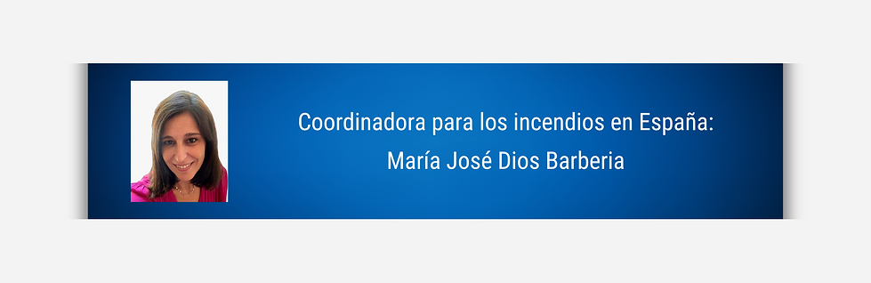 Espana Coordinadora (1200 x 400 px).png