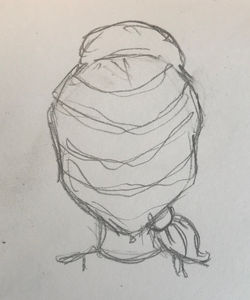 image12.jpeg